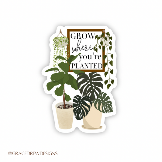 Grow Where You’re Planted