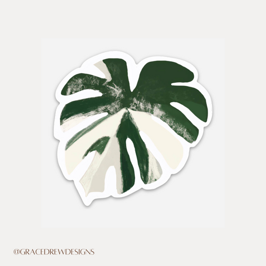 Monstera Albo Vinyl Sticker